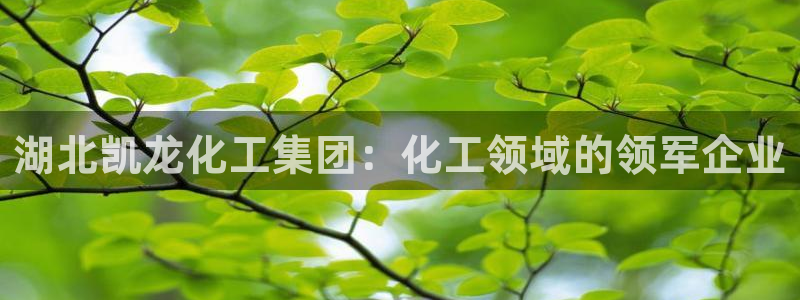 球盟会官网入口