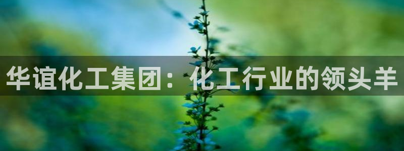 球盟会有没有黑单的活动