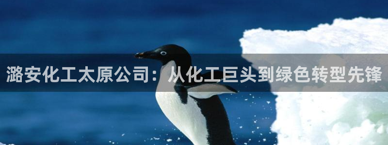 球盟会体验金