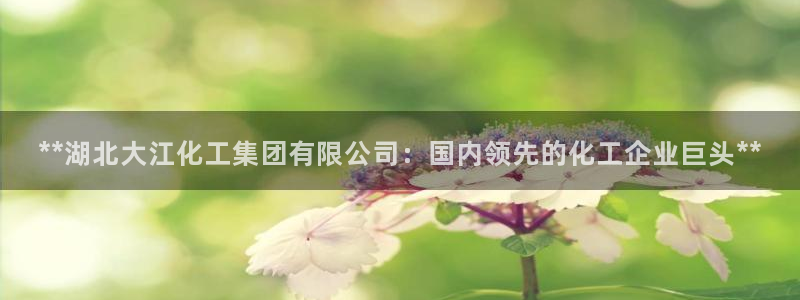 球盟会在线登录官网：**湖北大江化工集团有限公司：国内领先的