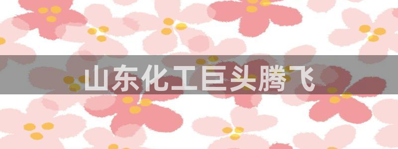 球盟会类似的网站：山东化工巨头腾飞
