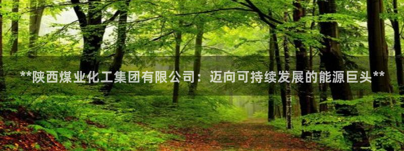 球盟会qmh电子网页版登录：**陕西煤业化工集团有限公司：迈
