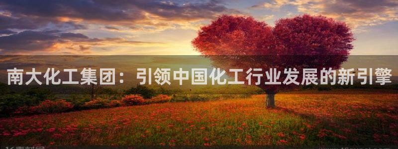 球盟会最新