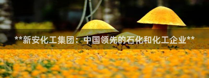 球盟会入口：**新安化工集团：中国领先的石化和化工企业**