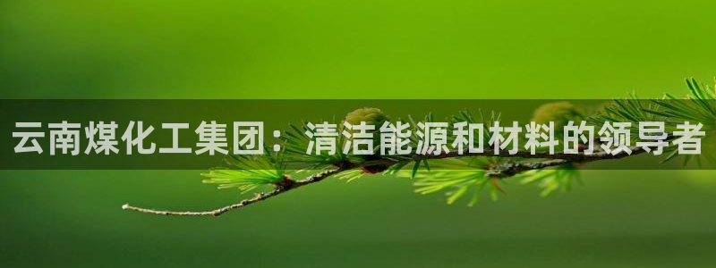 球盟会APP最新地址：云南煤化工集团：清洁能源和材料的领导者