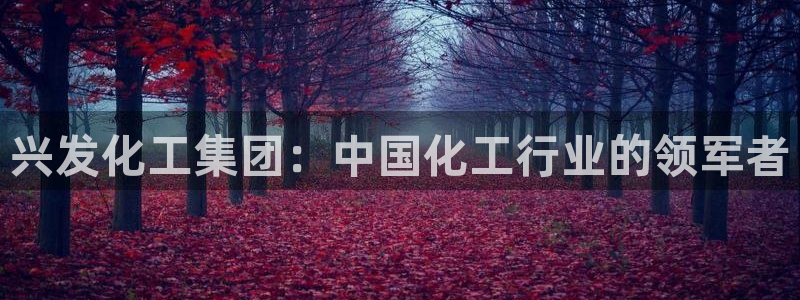 球盟会网页登录入口