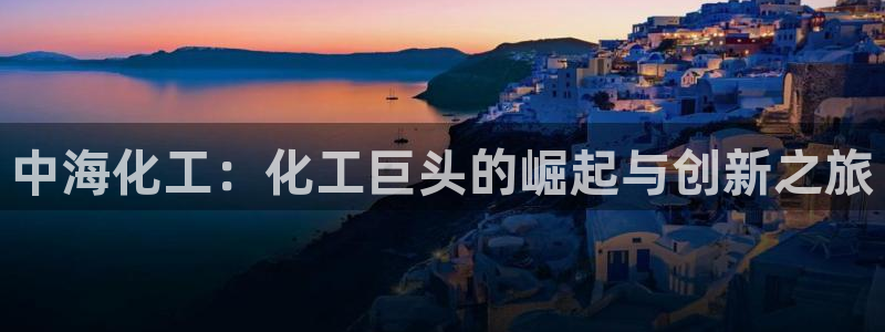 球盟会电子