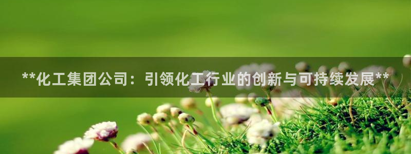 球盟会：**化工集团公司：引领化工行业的创新与可持续发展**