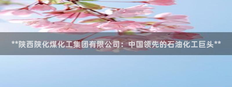 球盟会黑钱：**陕西陕化煤化工集团有限公司：中国领先的石油化