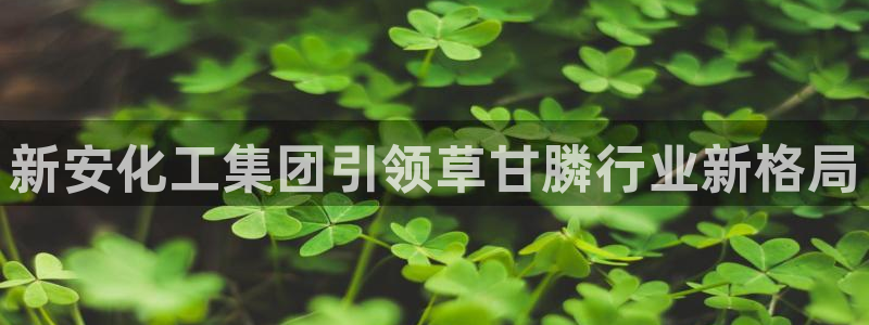 球盟会下载最新版