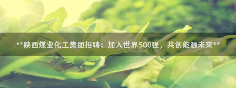 球盟会网址多少：**陕西煤业化工集团招聘：加入世界500强，