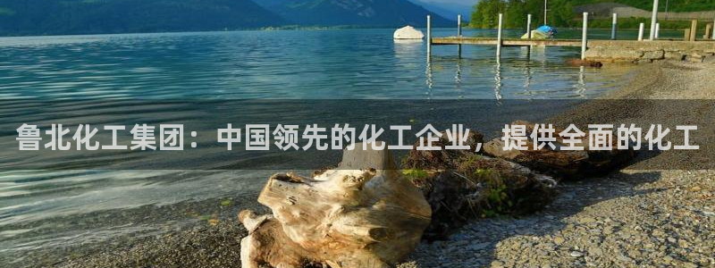 球盟会网页登录入口：鲁北化工集团：中国领先的化工企业，提供全