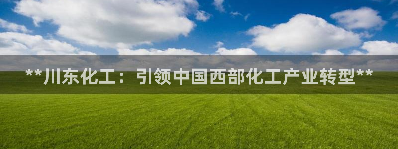 球盟会网页登录入口：**川东化工：引领中国西部化工产业转型*