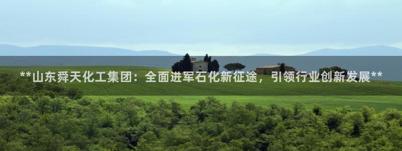 球盟会官方网站入口：**山东舜天化工集团：全面进军石化新征途