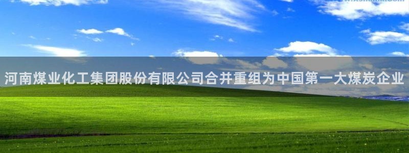 球盟会官方网站：河南煤业化工集团股份有限公司合并重组为中国第