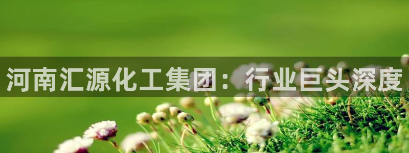 球盟会可以提现么现在