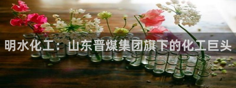 球盟会可以提现么现在