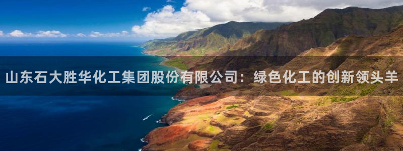 球盟会类似的网站：山东石大胜华化工集团股份有限公司：绿色化工