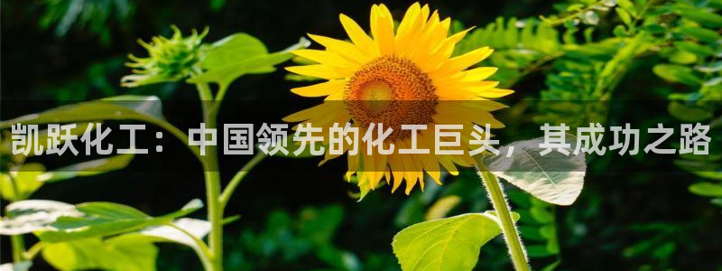 球盟会qmh官网
