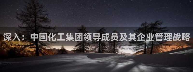球盟会黑钱