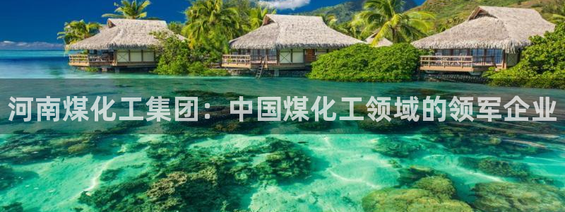 球盟会app最新地址下载安装：河南煤化工集团：中国煤化工领域