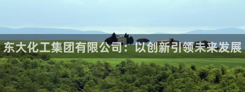 球盟会qmh登录地址：东大化工集团有限公司：以创新引领未来发