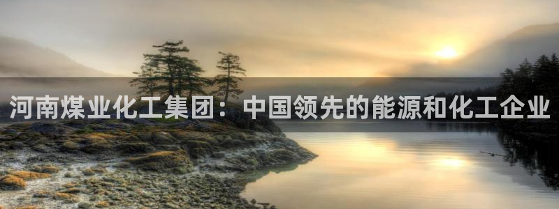 球盟会电子好下吗：河南煤业化工集团：中国领先的能源和化工企业