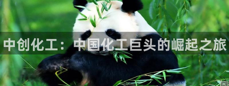 球盟会平台会黑单吗