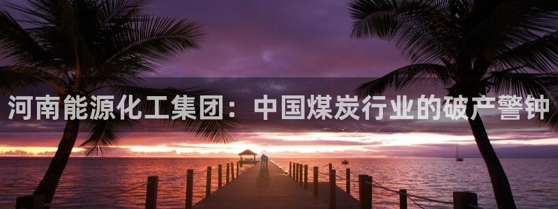 球盟会qmh电子网页版登录：河南能源化工集团：中国煤炭行业的