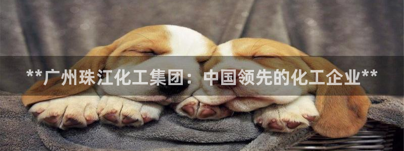 球盟会在线登录：**广州珠江化工集团：中国领先的化工企业**