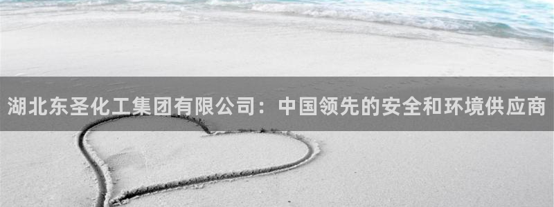 球盟会中国网页登录：湖北东圣化工集团有限公司：中国领先的安全