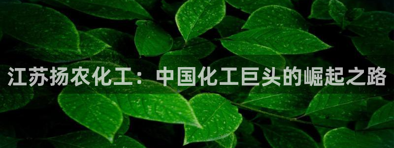 球盟会官方网站app