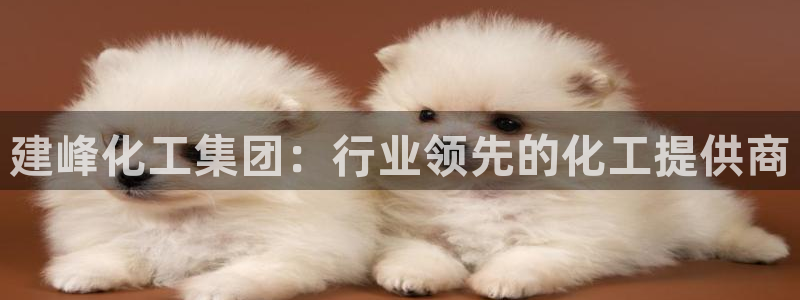 球盟会里面有打牌的嘛是真的吗：建峰化工集团：行业领先的化工提