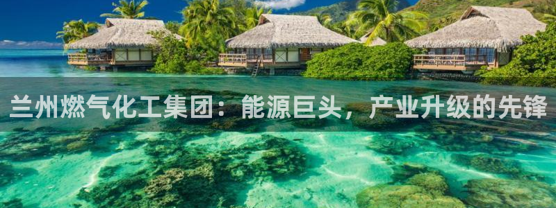 球盟会进不去吗