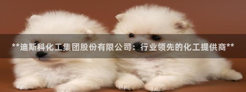 球盟会官网app下载：**迪斯科化工集团股份有限公司：行业领