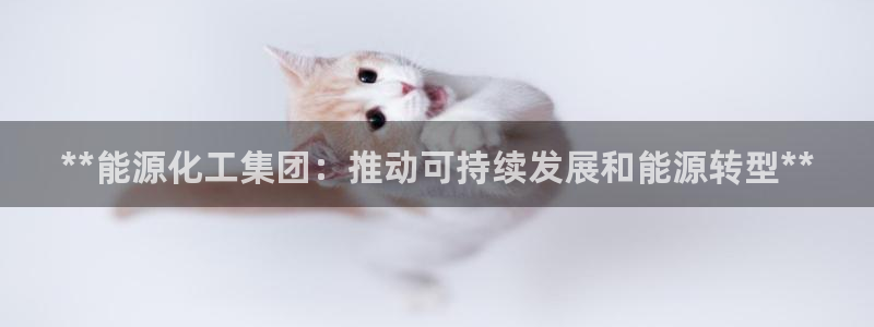 球盟会：**能源化工集团：推动可持续发展和能源转型**