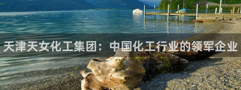 球盟会最新地址备用：天津天女化工集团：中国化工行业的领军企业
