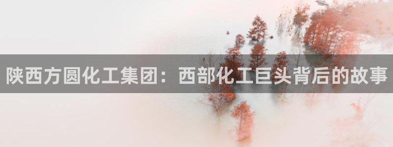 球盟会用的客服聊天是哪个软件