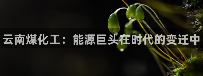 球盟会官方app首页入口