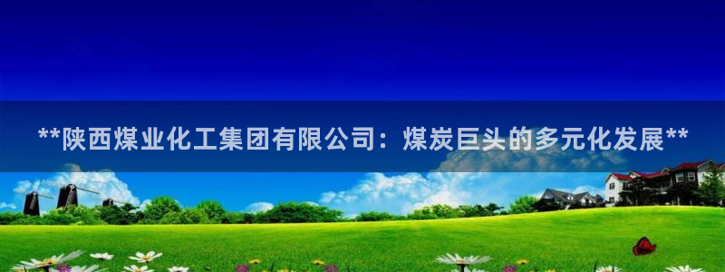 球盟会入口：**陕西煤业化工集团有限公司：煤炭巨头的多元化发