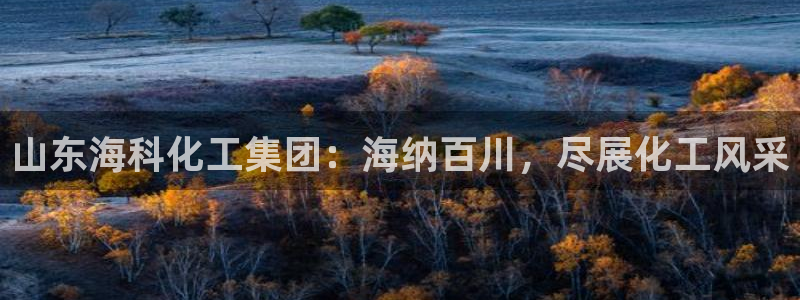 球盟会(中国)官方网站：山东海科化工集团：海纳百川，尽展化工