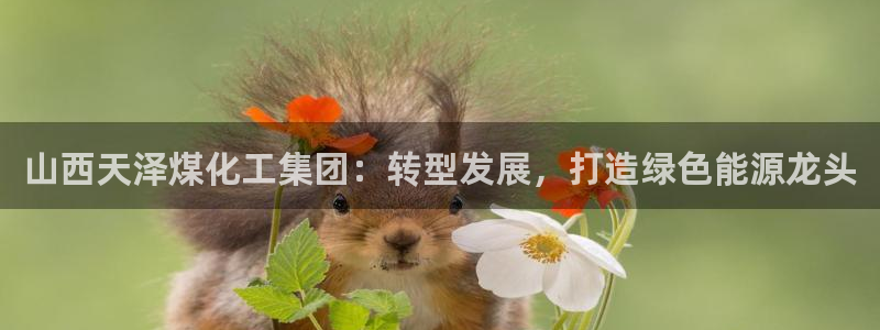 球盟会黑台