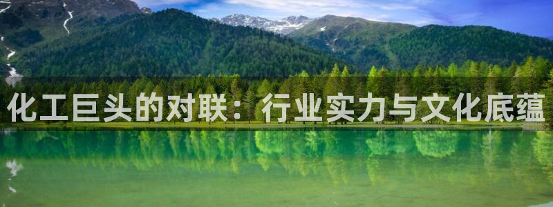 球盟会电子