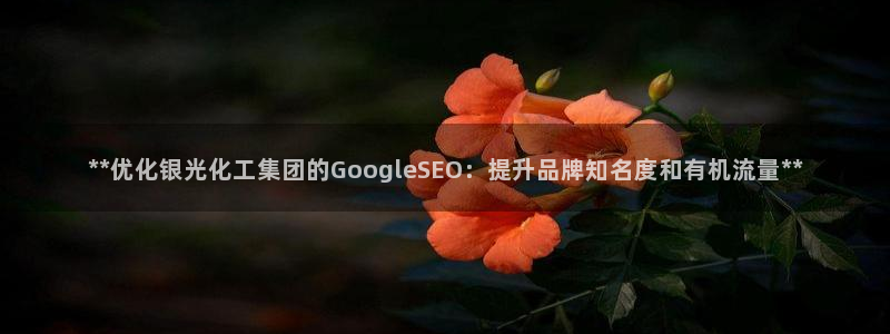 球盟会黑网：**优化银光化工集团的GoogleSEO：提升品