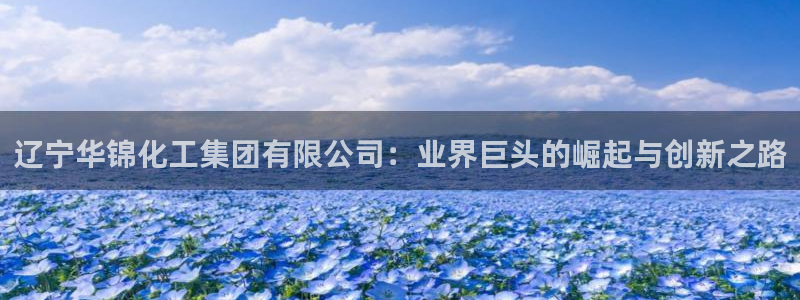 球盟会在线登录