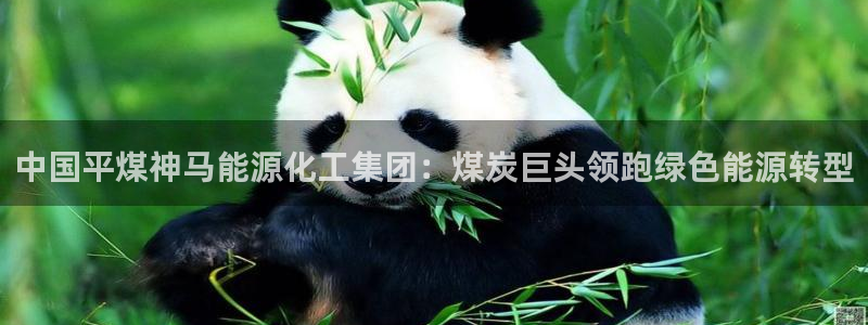球盟会app：中国平煤神马能源化工集团：煤炭巨头领跑绿色能源