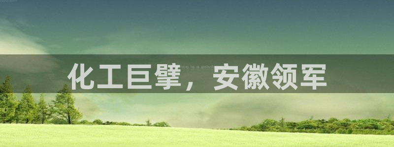 球盟会可以提现么现在：化工巨擘，安徽领军