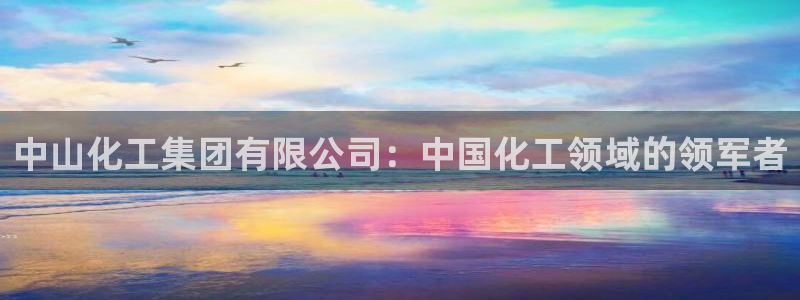 球盟会电子