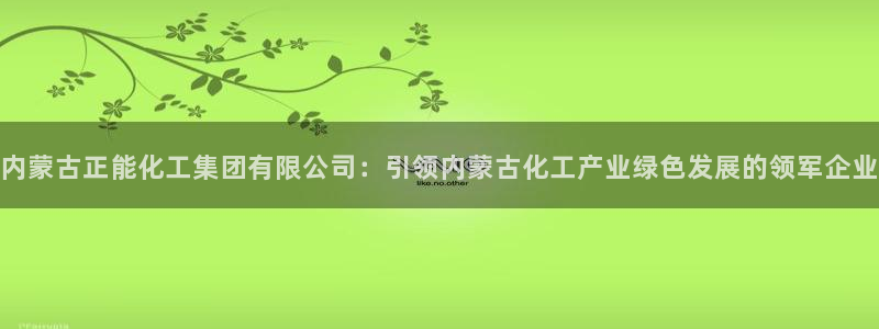 球盟会优惠券：内蒙古正能化工集团有限公司：引领内蒙古化工产业