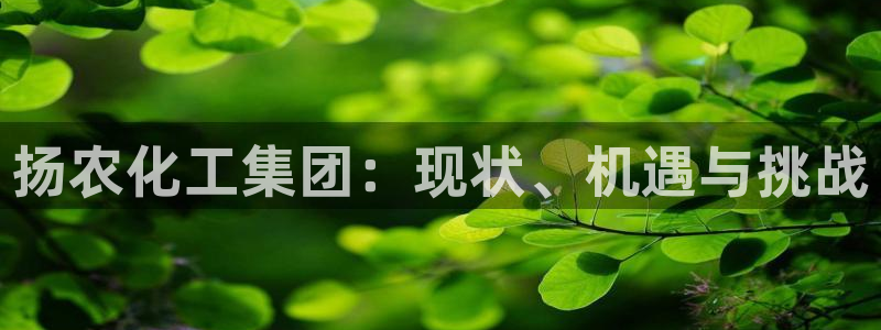 球盟会qmh